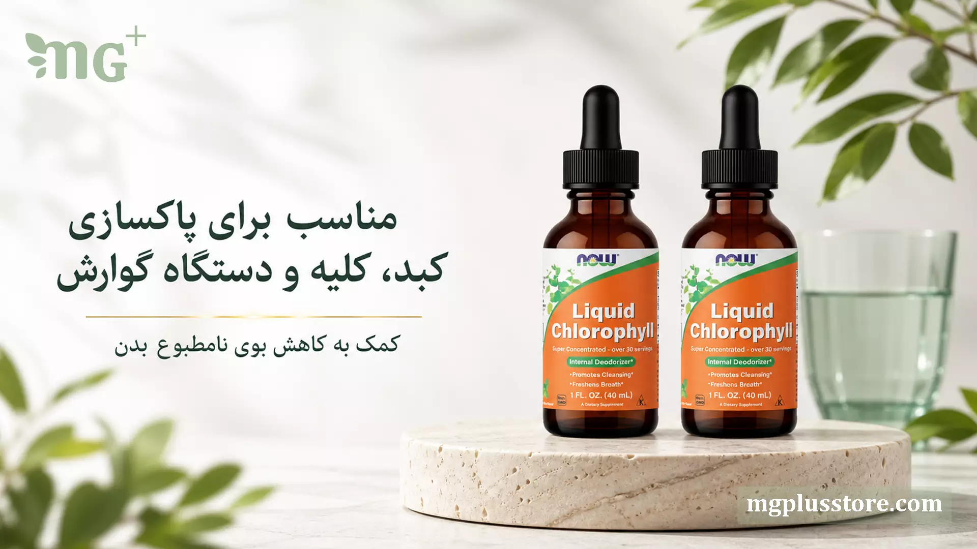 پک دو عددی کلروفیل آمریکایی ۴۰ میل NOW Foods با بطری قطره‌چکان‌دار