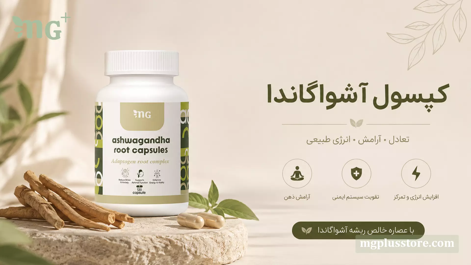 بنر خواص کپسول آشواگاندا 120 عددی ام جی پلاس با عصاره خالص ریشه برای آرامش ذهن، تقویت سیستم ایمنی و افزایش انرژی و تمرکز