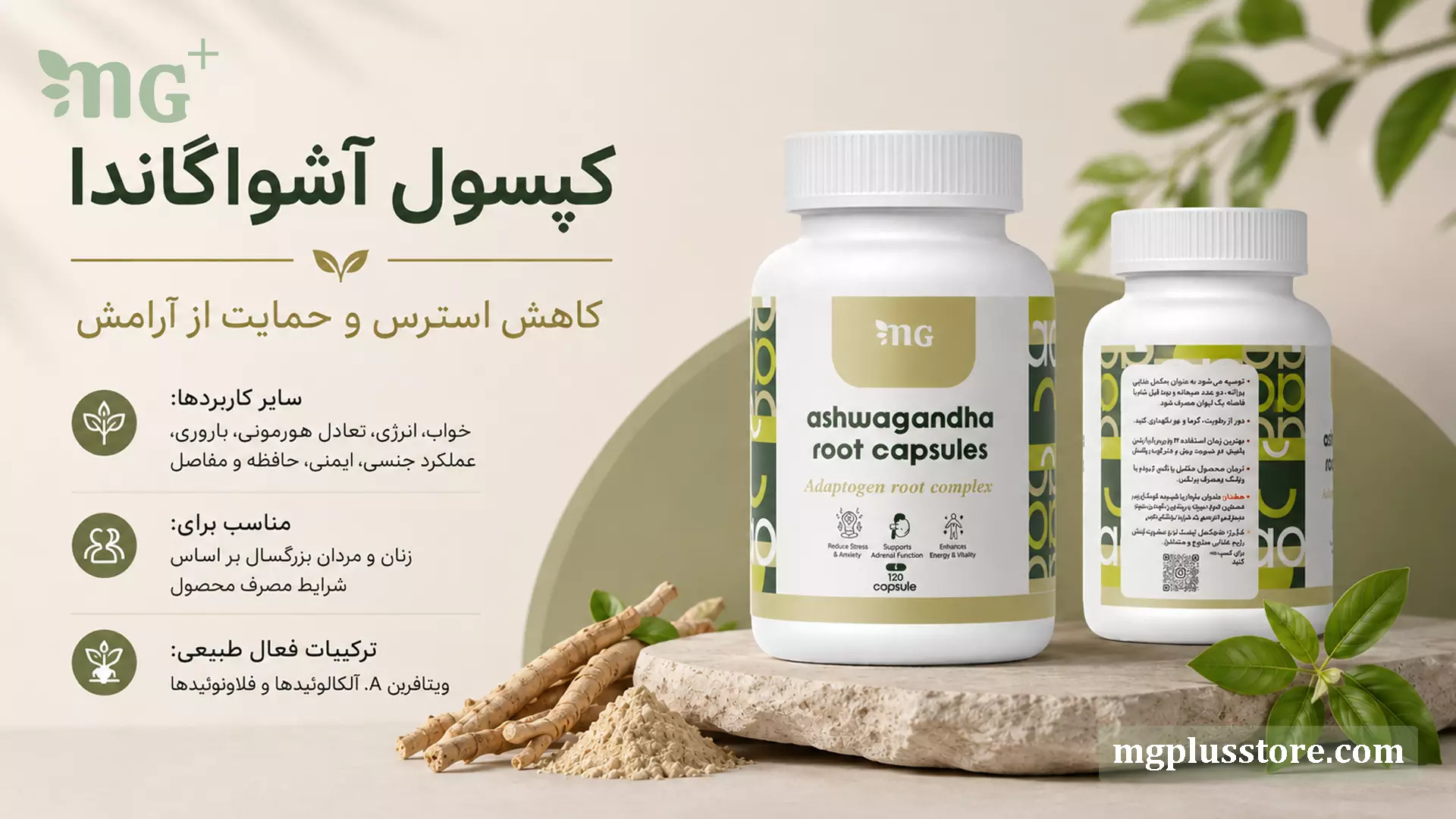 اینفوگرافیک ترکیبات فعال کپسول آشواگاندا 120 عددی ام جی پلاس شامل ویتافرین A و راهنمای کاربردها در تعادل هورمونی، خواب و آرامش