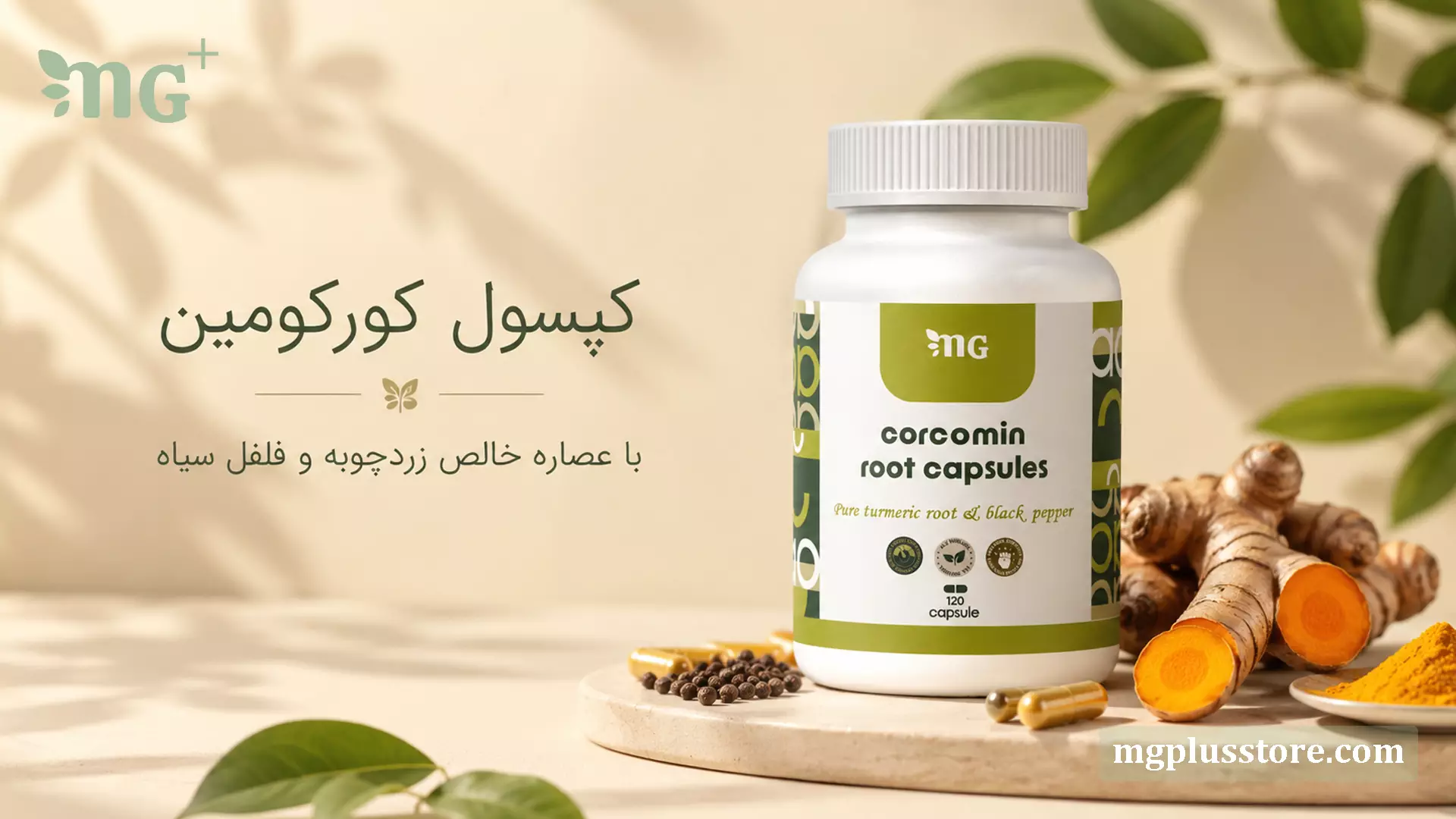 قوطی کپسول کورکومین 120 عددی ام جی پلاس حاوی عصاره خالص ریشه زردچوبه و فلفل سیاه در کنار ریشه تازه زردچوبه و دانه های فلفل