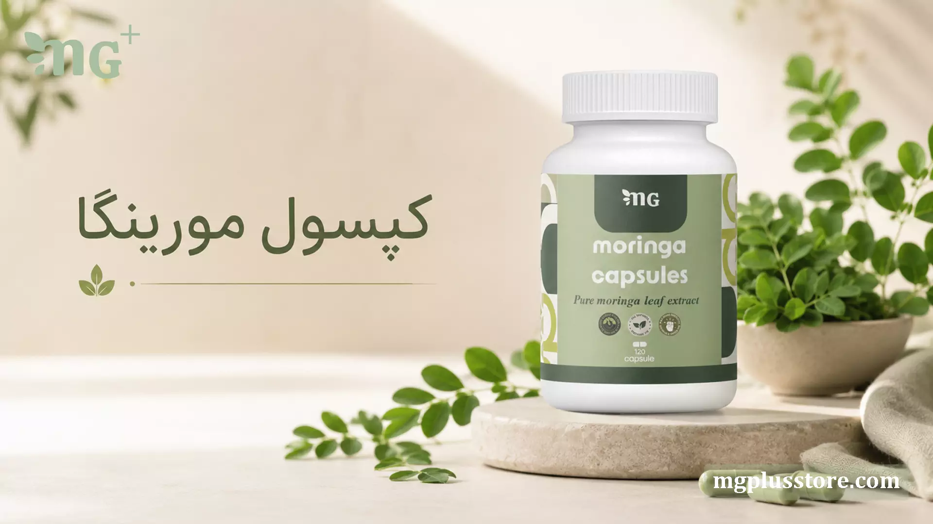 تصویر کپسول مورینگا ۱۲۰ عددی MG Plus حاوی عصاره خالص برگ مورینگا در کنار برگهای گیاه مورینگا