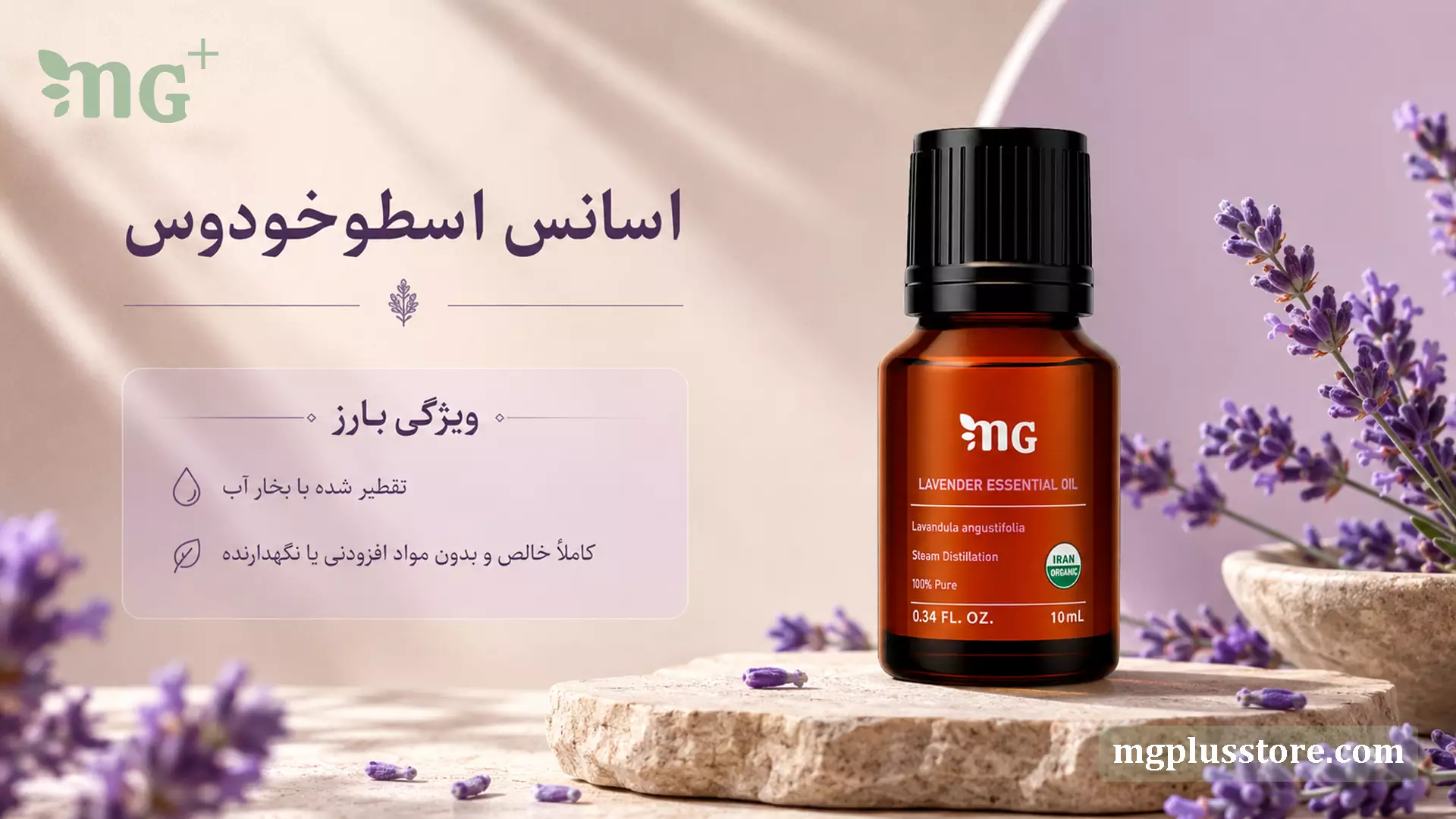 شیشه اسانس اسطوخودوس خالص ۱۰ میلیلیتر برند MG Plus تقطیر شده با بخار آب و بدون مواد نگهدارنده در کنار گلهای تازه لاوندر