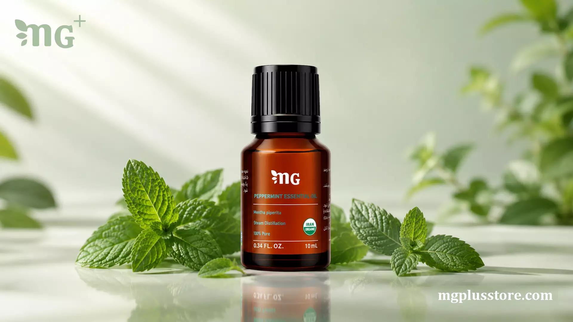 بطری اسانس نعنا فلفلی ۱۰ میلیلیتر MG Plus در میان برگهای تازه نعناع، اسانس خالص Mentha piperita تهیهشده با تقطیر بخار