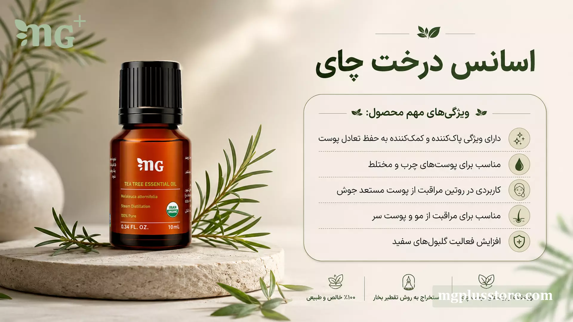 بنر اسانس درخت چای ۱۰ میلیلیتر MG Plus با ویژگی پاککنندگی و کاربرد در مراقبت از پوست چرب، پوست مستعد جوش، مو و پوست سر