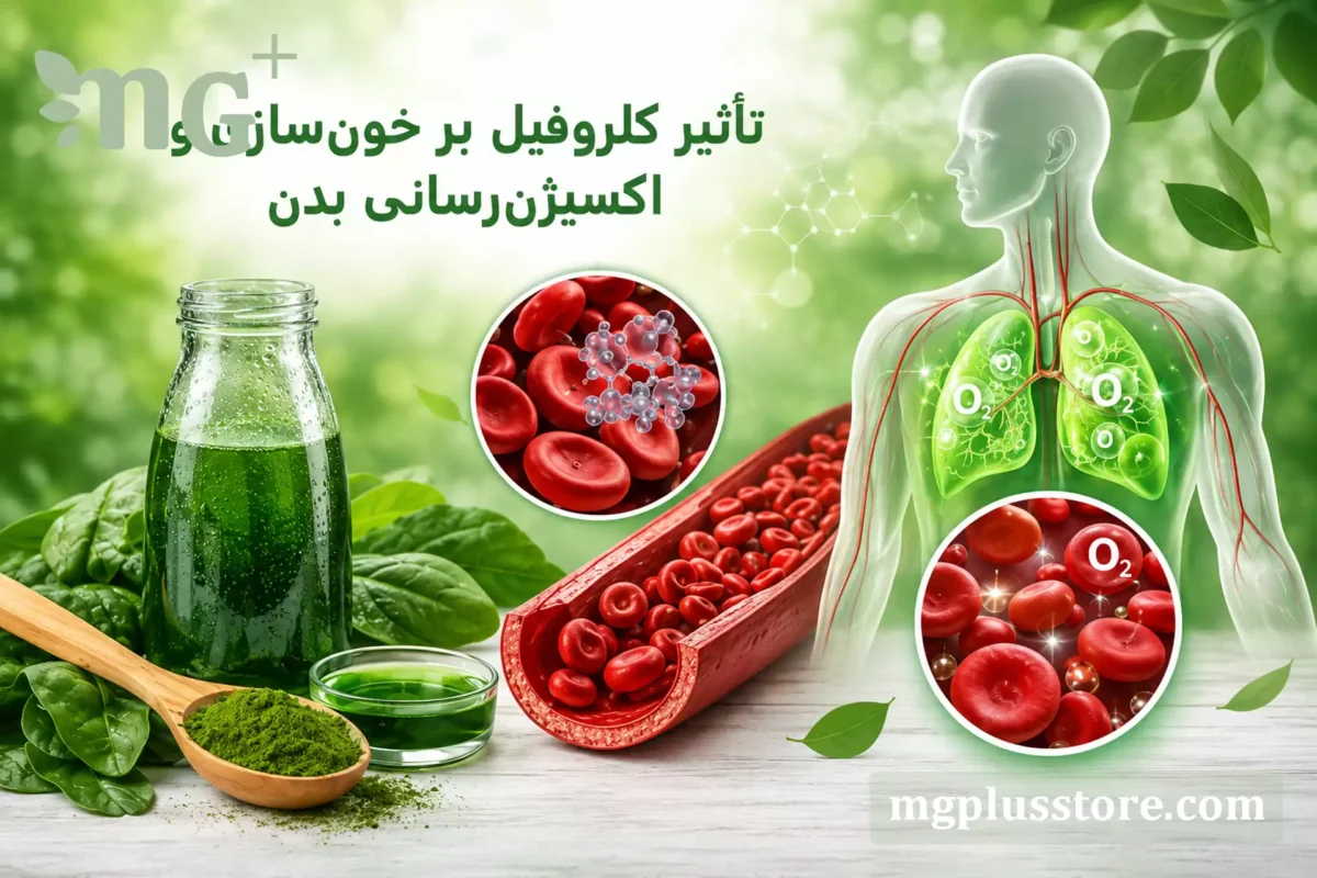 نقش کلروفیل در افزایش خون‌سازی و اکسیژن‌رسانی به بافت‌های بدن