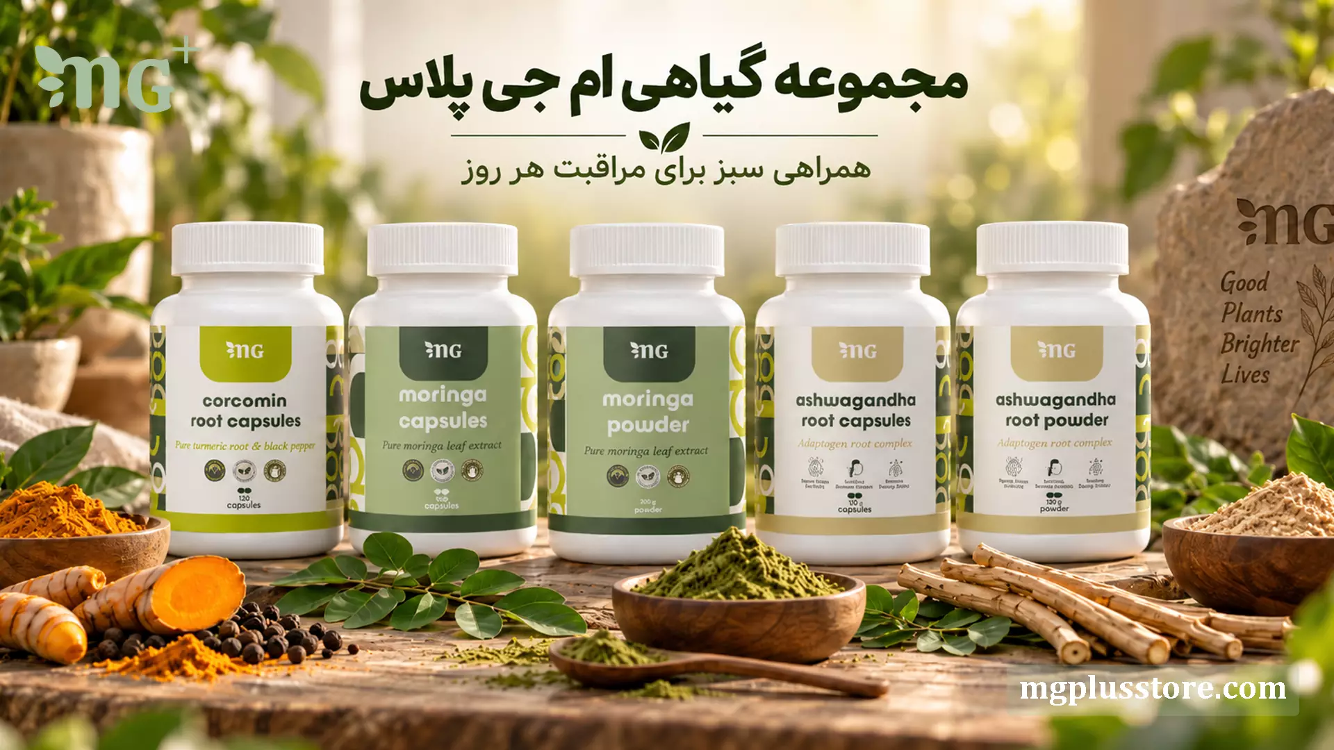 مجموعه مکمل روزانه امجیپلاس شامل کپسولهای گیاهی مورینگا، کورکومین و آشواگاندا برای ارتقای سلامت و تندرستی