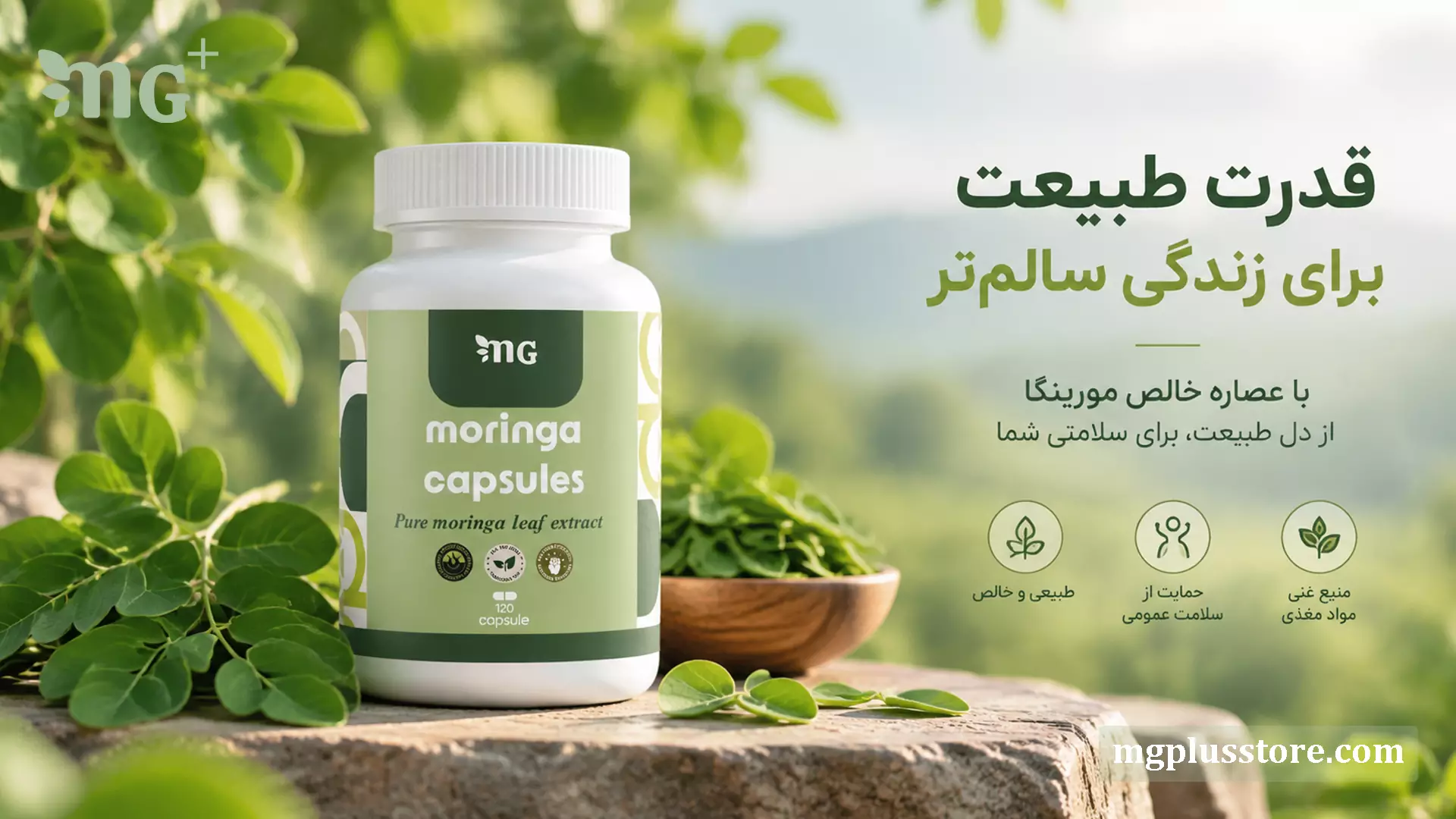 کپسول مورینگا امجیپلاس؛ مکمل گیاهی و ارگانیک برای تقویت سیستم ایمنی و افزایش انرژی بدن