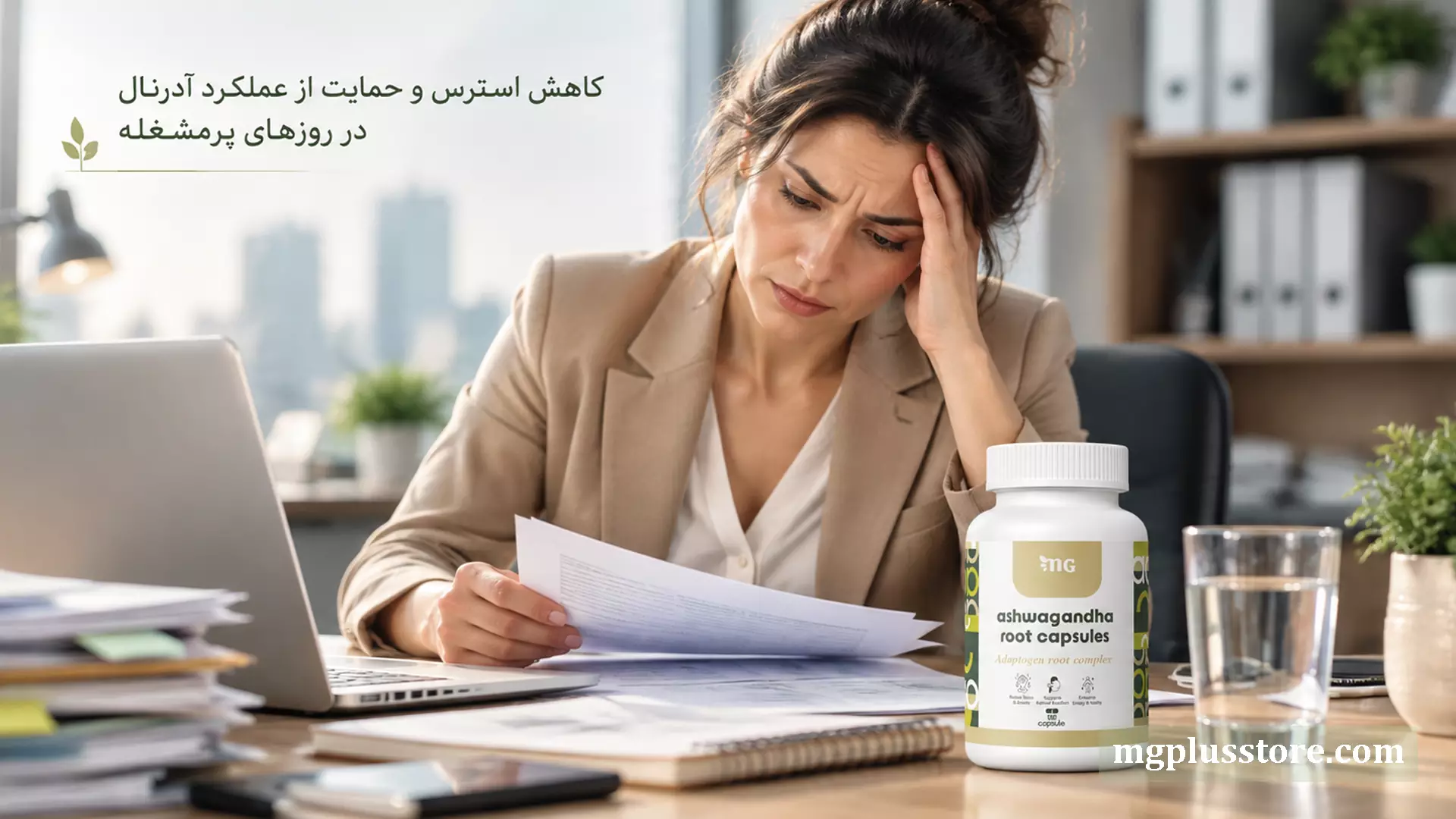 کپسول آشواگاندا امجیپلاس برای کاهش استرس و تقویت عملکرد غدد آدرنال در روزهای پرمشغله کاری