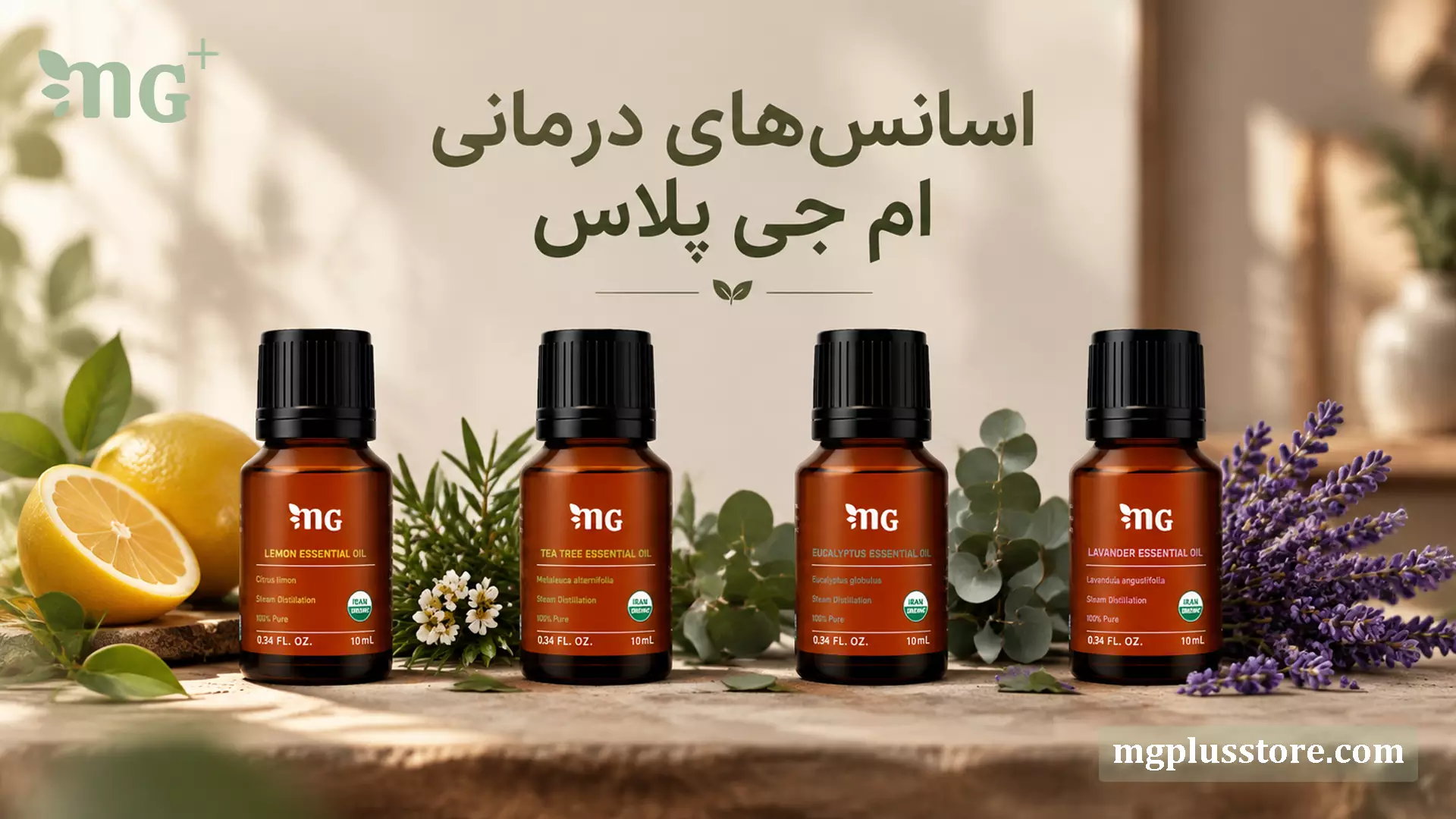 مجموعه ۴ عددی اسانس طبیعی و درمانی برند ام جی پلاس شامل رایحههای لیمو، درخت چای، اکالیپتوس و لاوندر (اسطوخودوس). شیشههای ۱۰ میلیلیتری با نشان ارگانیک ایران و خلوص ۱۰۰ درصد، چیده شده روی سطح چوبی در تابش نور طبیعی خورشید به همراه گیاهان تازه.