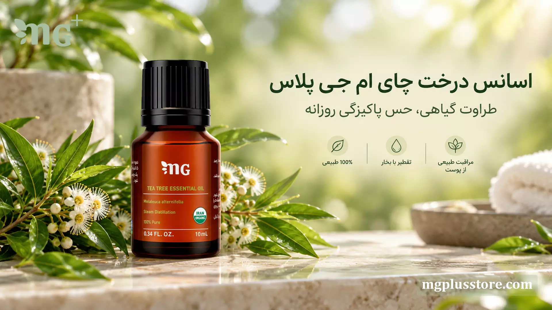 شیشه ۱۰ میلی‌لیتری اسانس درخت چای ام جی پلاس با رایحه گیاهی و طراوت‌بخش، قرار گرفته روی سطح سنگی در کنار شاخ و برگ‌های تازه. این روغن درمانی ۱۰۰ درصد طبیعی با نشان ارگانیک، برای مراقبت از پوست و ایجاد حس پاکیزگی کاربرد دارد.